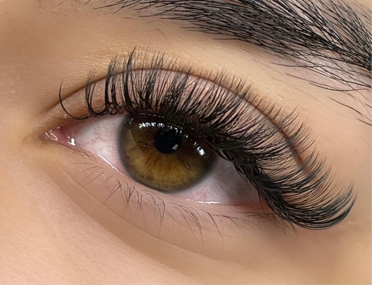 Close-up of a lash line showing individual extensions